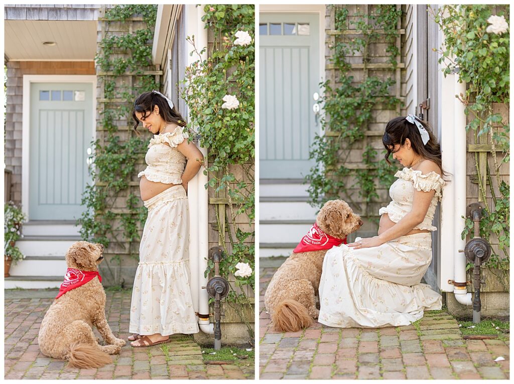 Woman looks lovingly at her goldendoodle while having Maternity pictures taken in Nantucket.